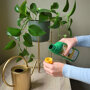 Pokon Kamerplanten Voeding sfeer